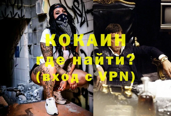 spice Аркадак