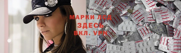 молекула духа Арсеньев