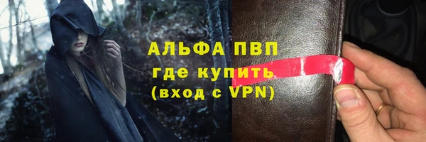 молекула духа Арсеньев