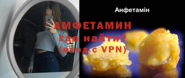 молекула духа Арсеньев