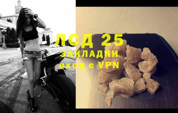 spice Аркадак
