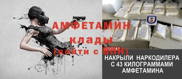 spice Аркадак