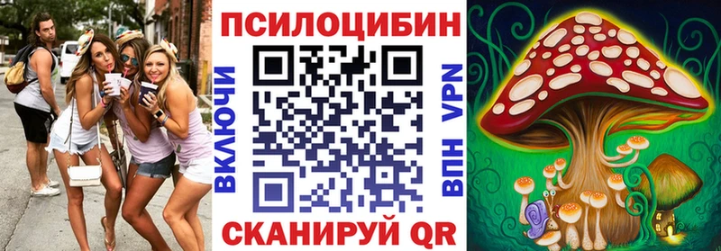 Псилоцибиновые грибы мухоморы  где купить наркоту  Сухиничи 